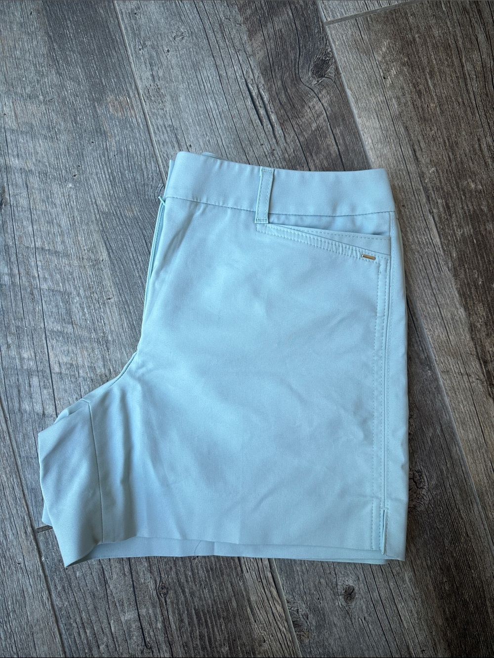 White House Black Market Light Blue Women's Shorts